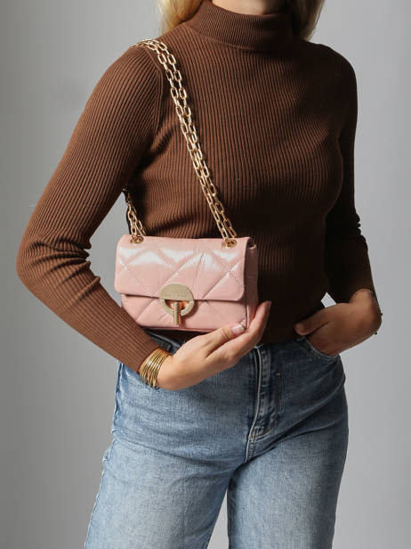 Leather Nano Moon Crossbody Bag Vanessa bruno Pink moon 84V40326 other view 1