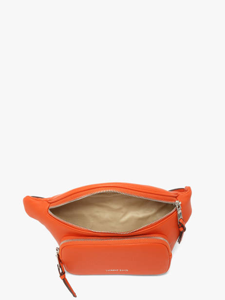 Sac Banane Estée Laurent david Orange ld bags 93 vue secondaire 3