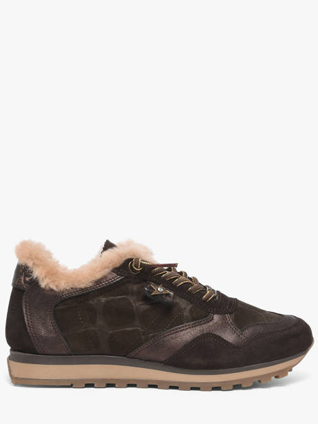 Sneakers Cetti Marron accessoires SRA