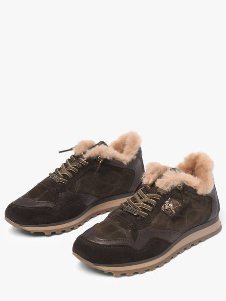Sneakers Cetti Marron accessoires SRA vue secondaire 1